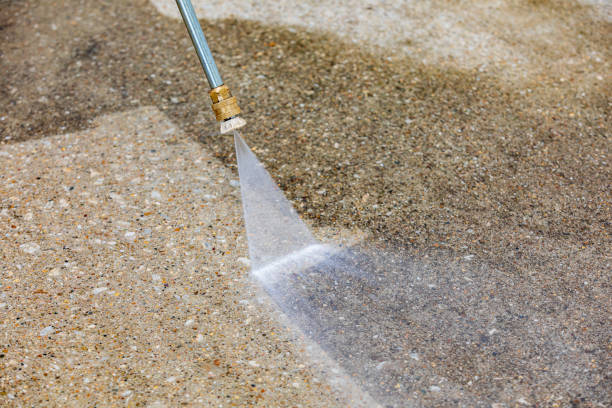 Best Driveway Cleaning and Restoration in Shiloh, PA